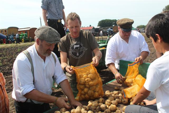 Kartoffeln absacken
